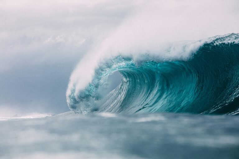 Moana filming locations