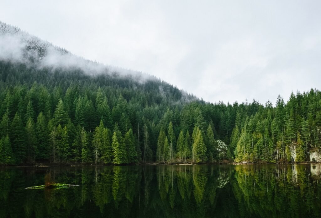 TV Shows and Movies Filmed in Vancouver