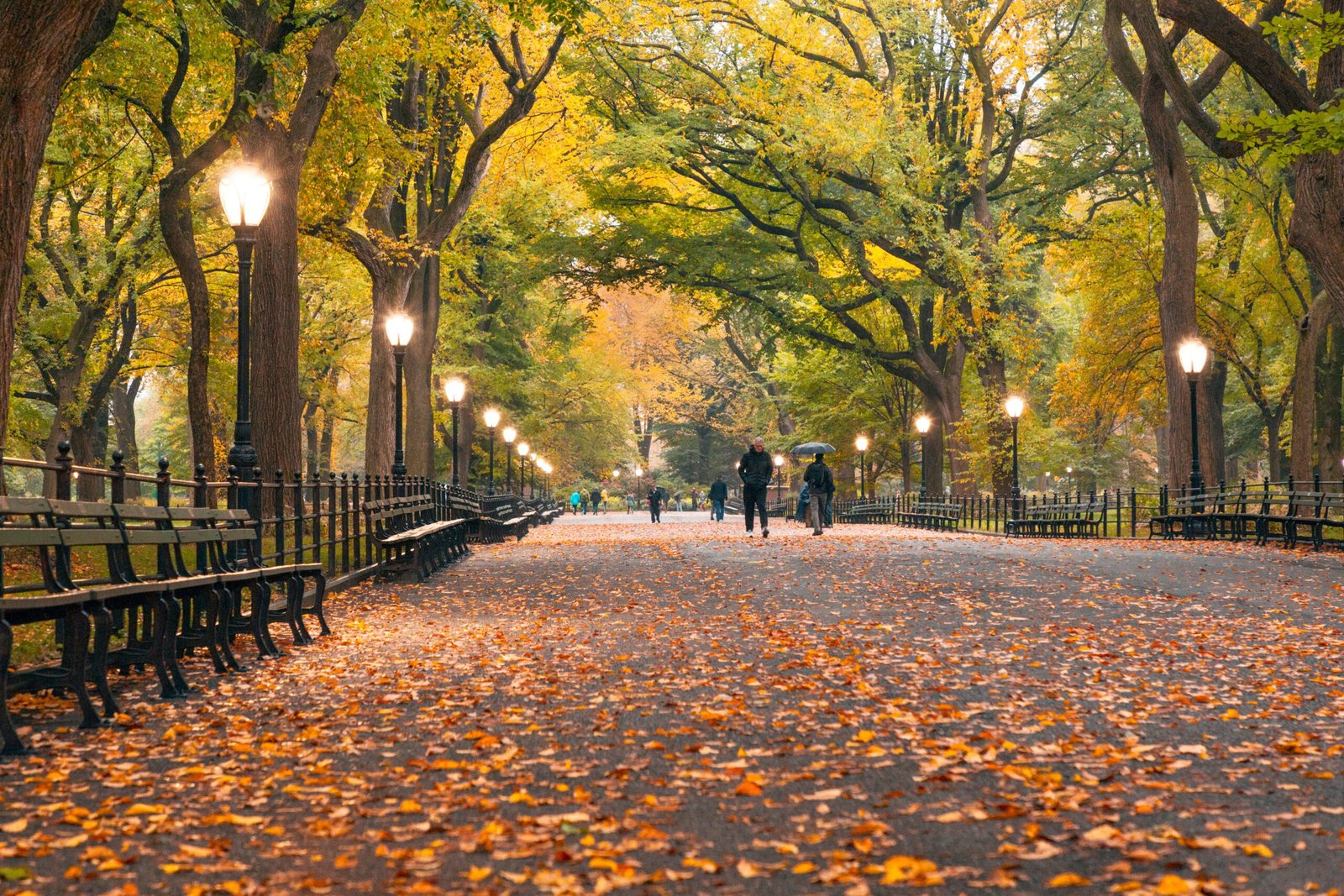 Best autumn movies